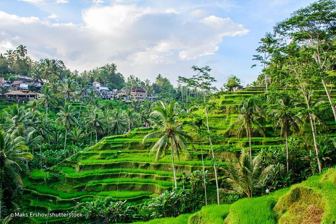 Ubud