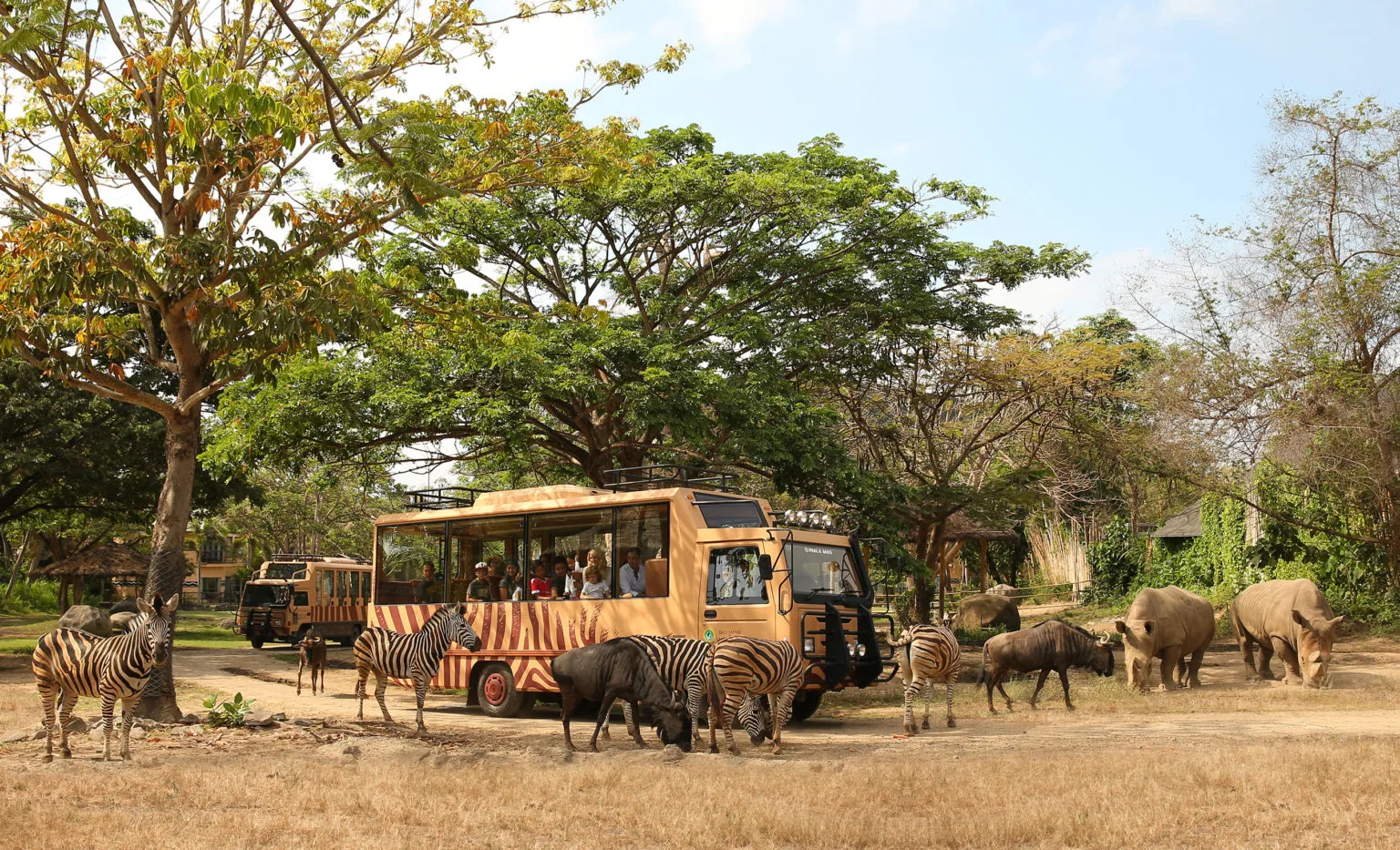 Bali Safari