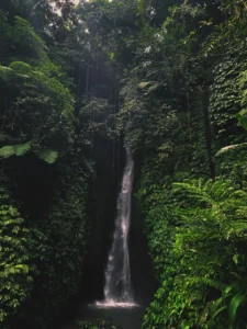 Long Trip North Tour - Bedugul